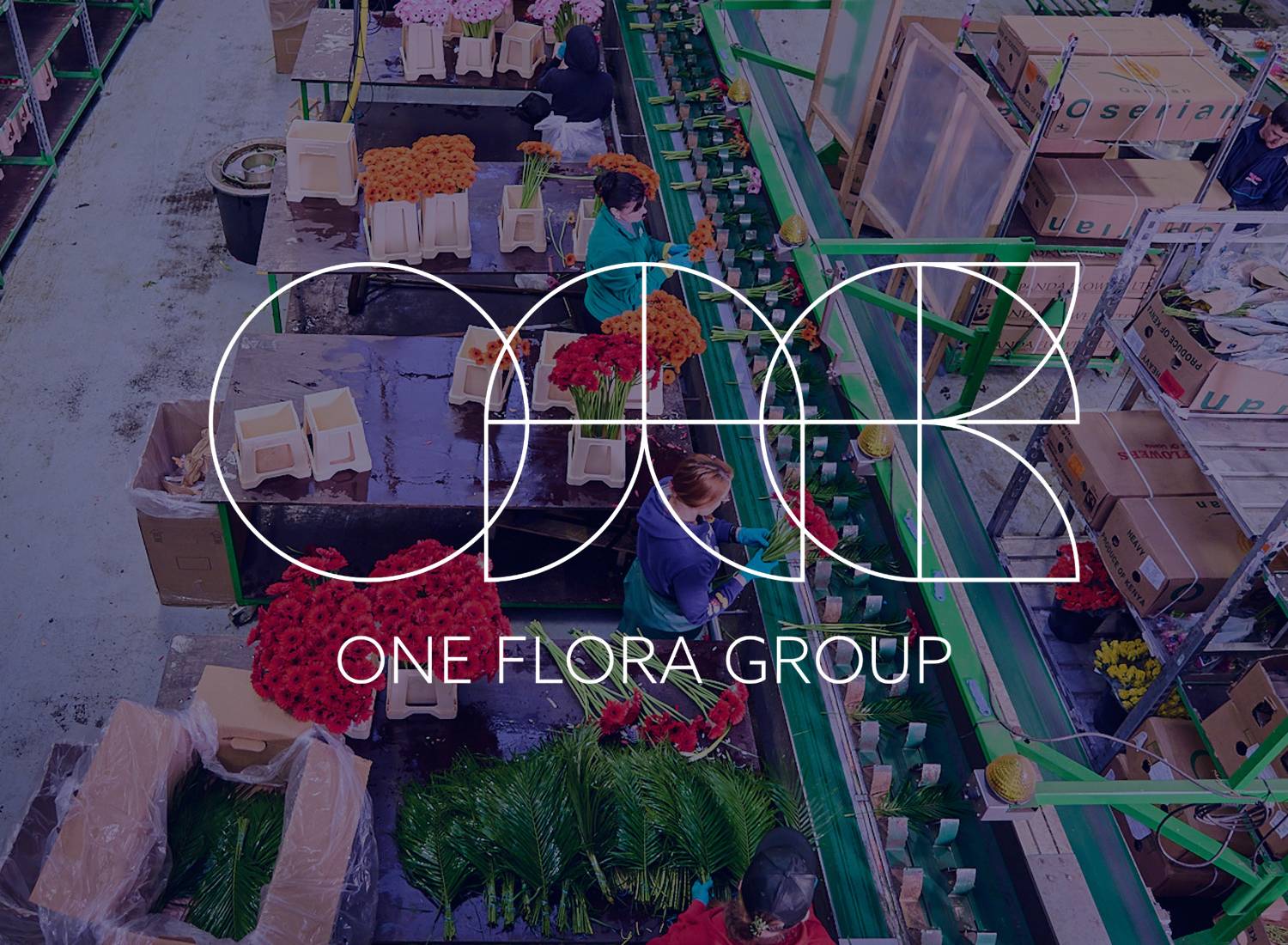 Bloominess onderdeel van One Flora Group
